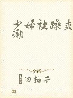 少妇被躁爽到高潮