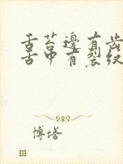 舌苔边有齿痕 舌中有裂纹