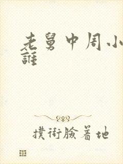 老舅中周小姐是谁封面