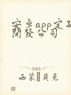 安卓app定制开发公司封面