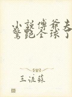 小说傅爷夫人又惊艳全球了