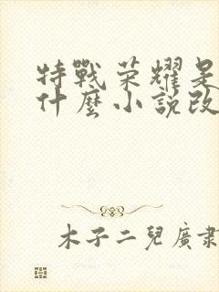 特战荣耀是根据什么小说改编的