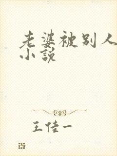 老婆被别人操的小说