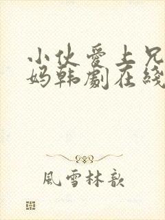 小伙爱上兄弟妈妈韩剧在线观看免费