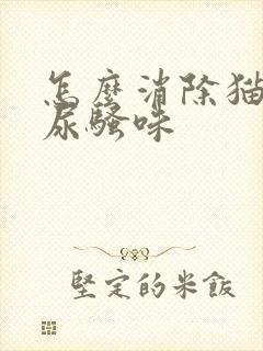 怎么消除猫咪的尿骚味