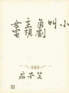 女主角叫小芳的电视剧封面