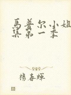 马普尔小姐探案集第一季封面