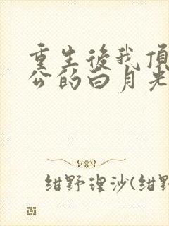 重生后我顶替老公的白月光