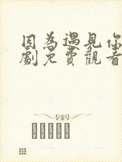 因为遇见你电视剧免费观看全集