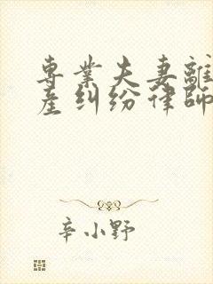 专业夫妻离婚房产纠纷律师