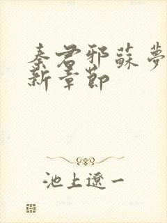 秦君邪苏梦安最新章节封面