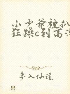 小少爷被扒开腿狂躁c到高潮