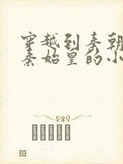 穿越到秦朝帮助秦始皇的小说