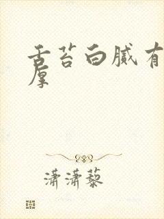 舌苔白腻有齿痕厚