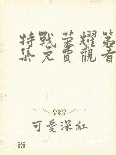 特战荣耀第25集免费观看