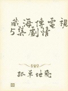 藏海传电视剧35集剧情