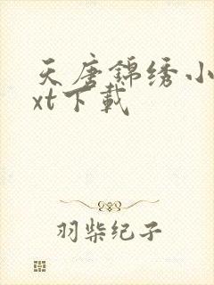 天唐锦绣小说txt下载