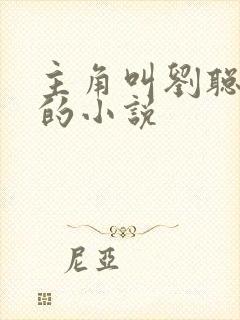 主角叫刘聪赵兰的小说封面