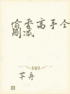 偷香高手全文无删减封面