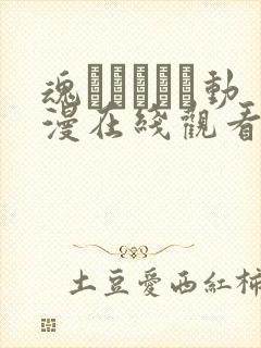 魂ィンサート动漫在线观看免费版