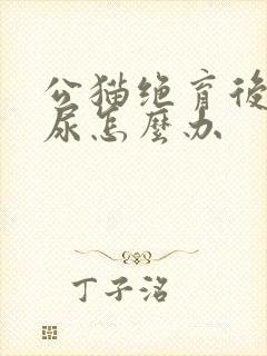 公猫绝育后还乱尿怎么办