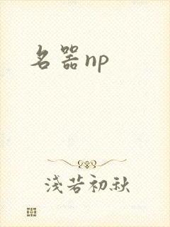 名器np