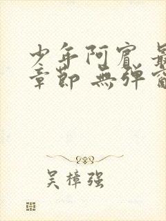 少年阿宾 最新章节 无弹窗