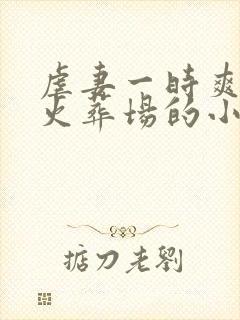 虐妻一时爽追妻火葬场的小说