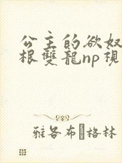 公主的欲奴h四根双龙np视频