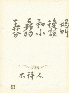 王磊和后妈杨晓芬的小说叫什么