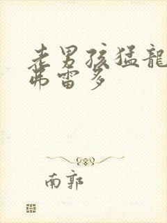 老男孩猛龙过江弗雷多封面