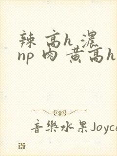 辣 高h 浓 np 肉 黄高h