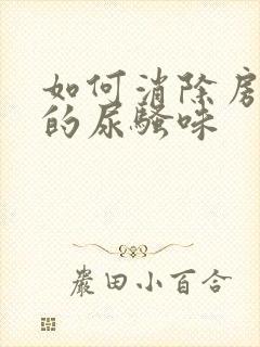 如何消除房间里的尿骚味封面