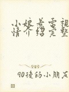 小娘惹电视剧剧情介绍完整封面