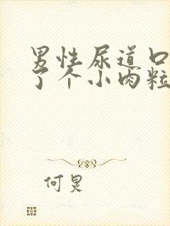 男性尿道口边长了个小肉粒