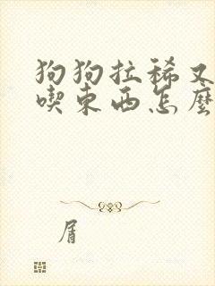 狗狗拉稀又吐不吃东西怎么办