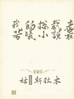 我的总裁老婆林若曦小说最新章节