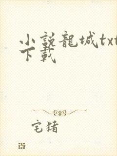 小说龙城txt下载