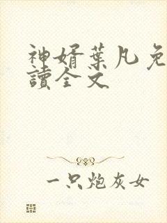 神婿叶凡免费阅读全文