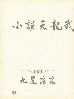 小说天龙武神诀