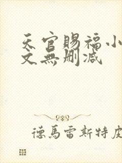 天官赐福小说全文无删减