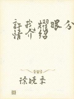 许我耀眼分集剧情介绍