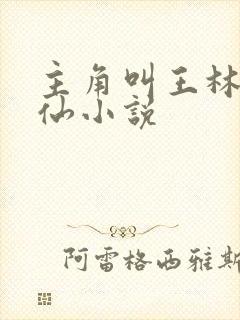 主角叫王林的修仙小说封面