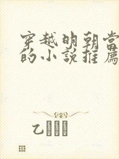 穿越明朝当皇上的小说推荐封面