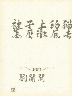 被子上的猫尿味怎么彻底去除