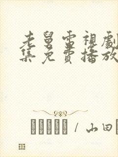 老舅电视剧40集免费播放大全