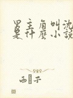 男主角叫沈肆的是什么小说封面