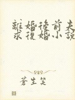 离婚后前夫哭着求复婚小说完本免费阅读