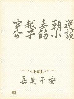 穿越秦朝逆袭二公子的小说