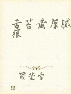 舌苔黄厚腻有齿痕